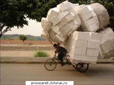 :cool: poze funny