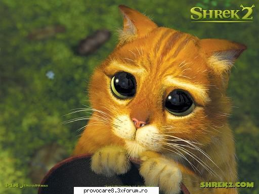 poze funny